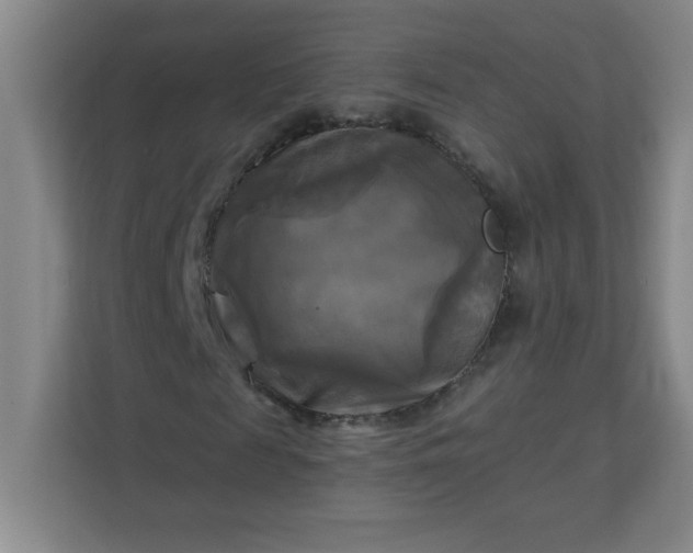 X0000113300817200909281102