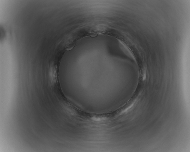 X0000113300818200909281102