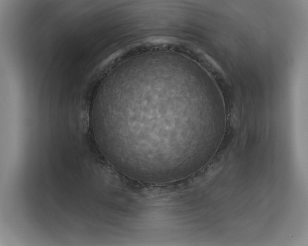 X0000113300821200909281102