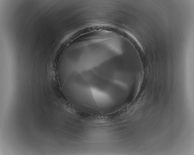 X0000113300823200909281102