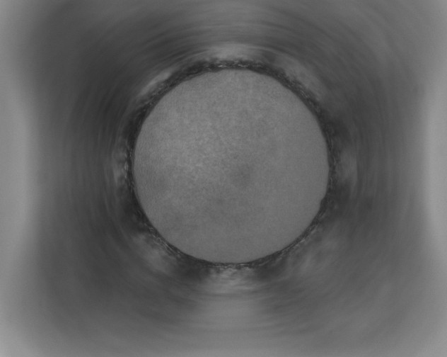 X0000113300824200909281102