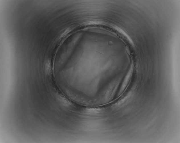 X0000113300825200909281102