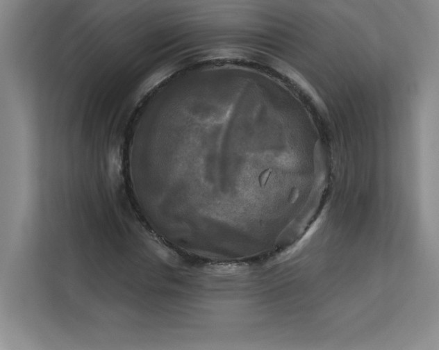 X0000113300826200909281102