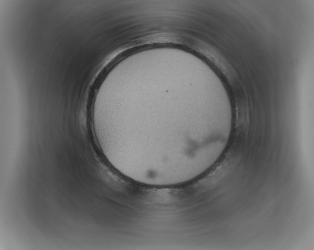 X0000113300828200909281102