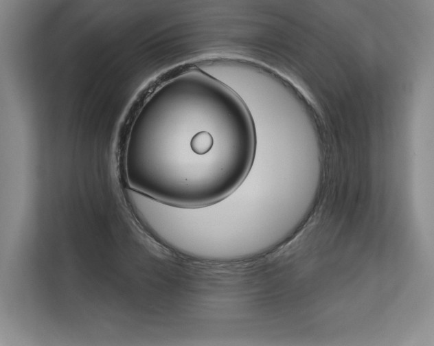 X0000113300832200909281102