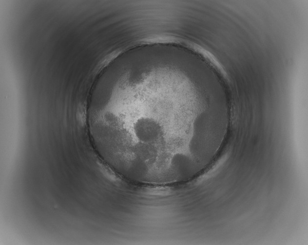 X0000113300833200909281103