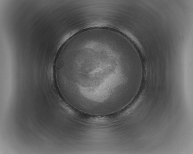 X0000113300834200909281103