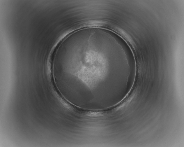 X0000113300835200909281103