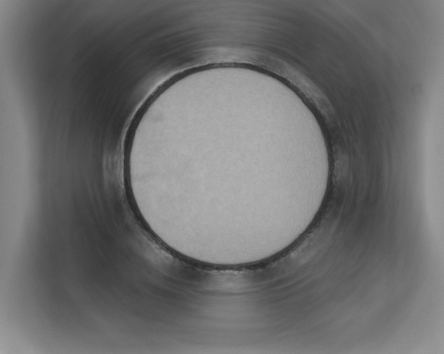 X0000113300836200909281103