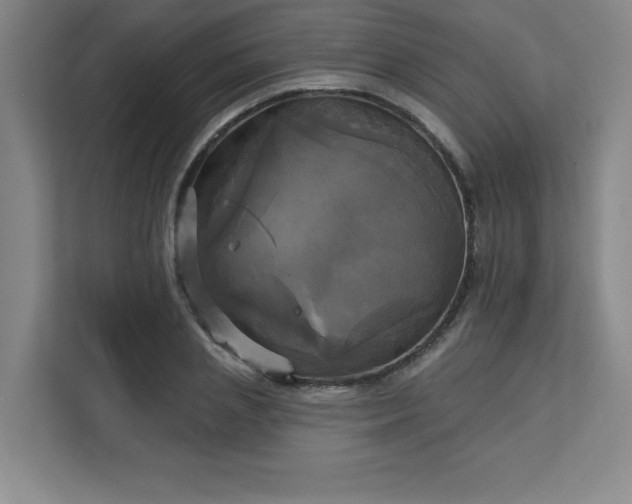 X0000113300837200909281103