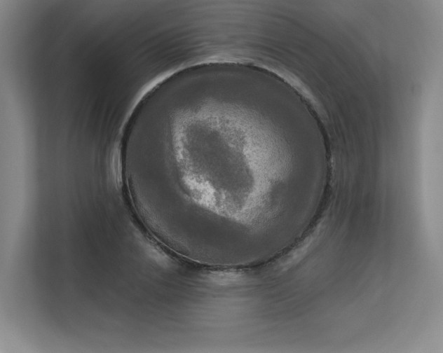 X0000113300838200909281103