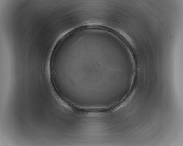 X0000113300840200909281103