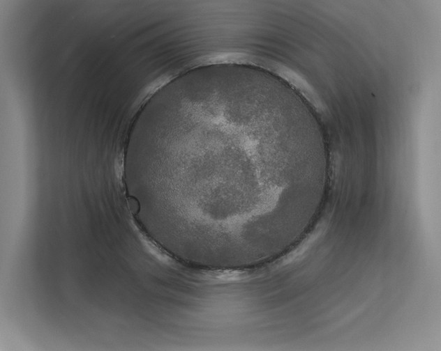 X0000113300841200909281103