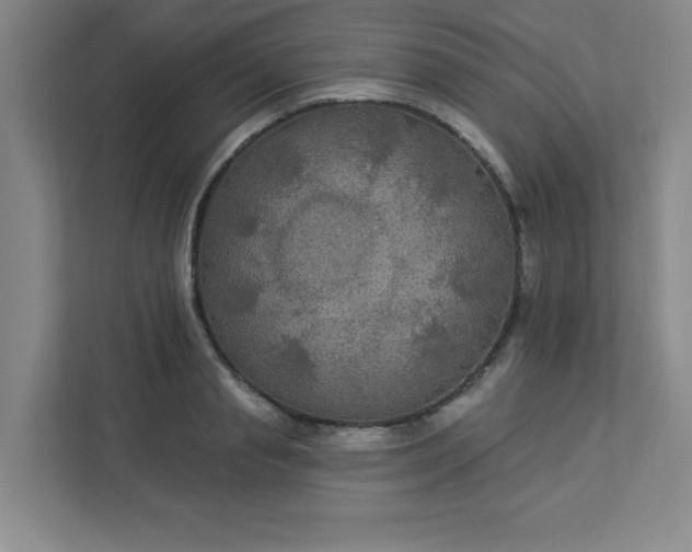 X0000113300845200909281103