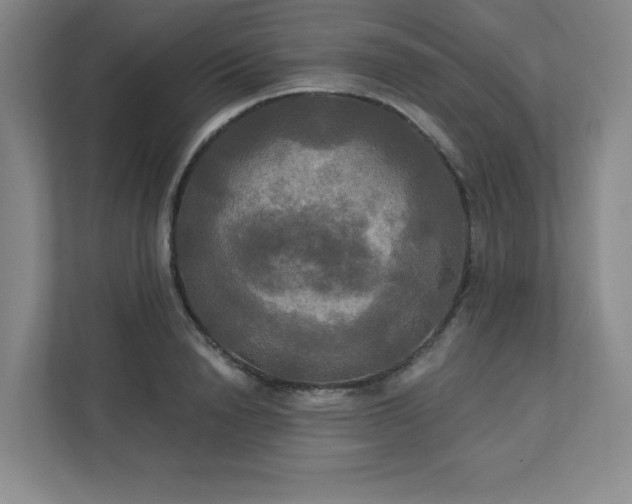 X0000113300846200909281103