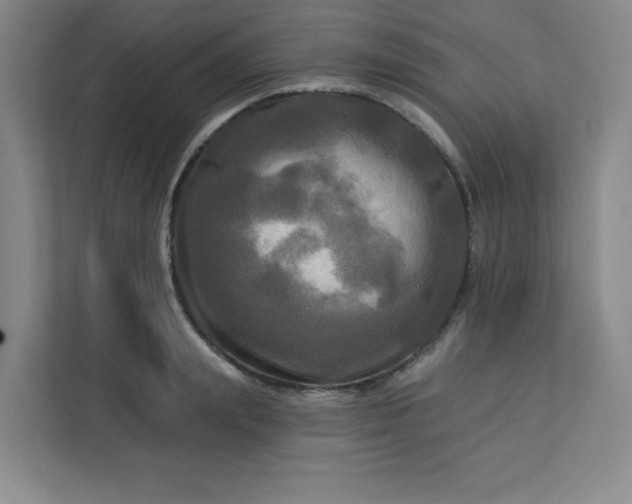 X0000113300847200909281103