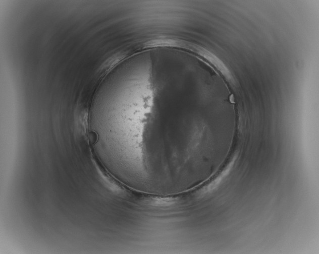 X0000113300849200909281103