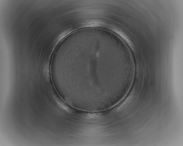 X0000113300850200909281103