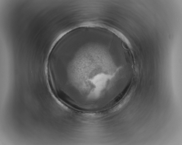 X0000113300855200909281103