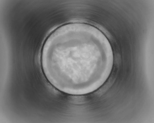 X0000113300856200909281103