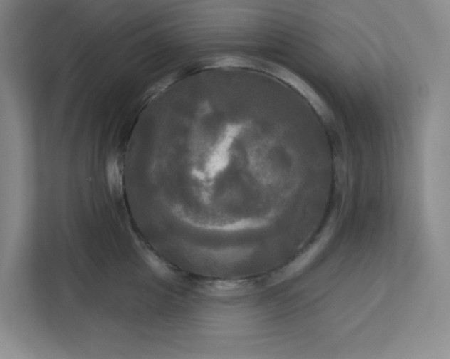 X0000113300857200909281103