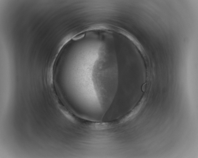 X0000113300858200909281103