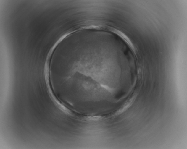 X0000113300859200909281103