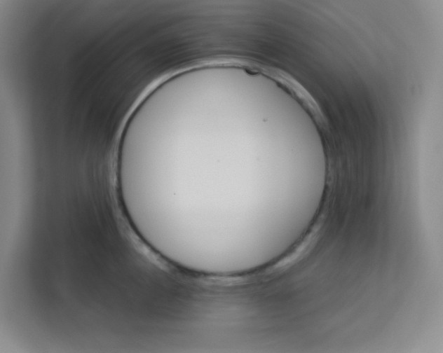 X0000113300860200909281103