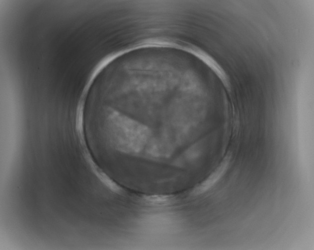 X0000113300862200909281103