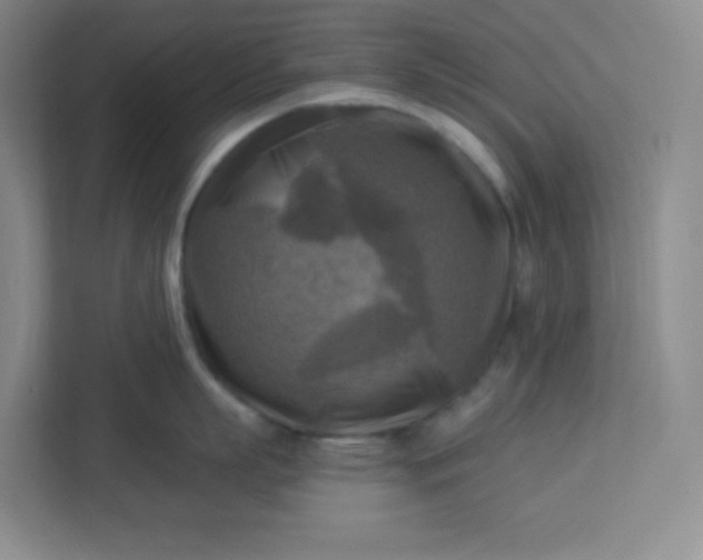 X0000113300863200909281103