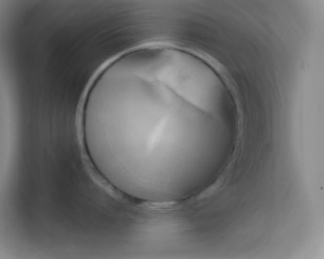 X0000113300864200909281103