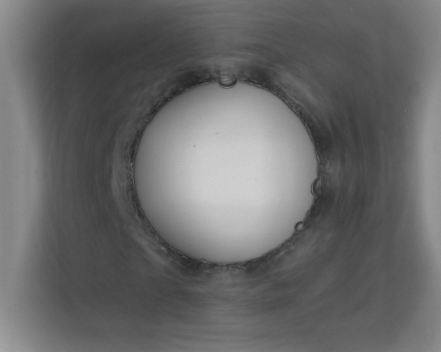 X0000113300865200909281102