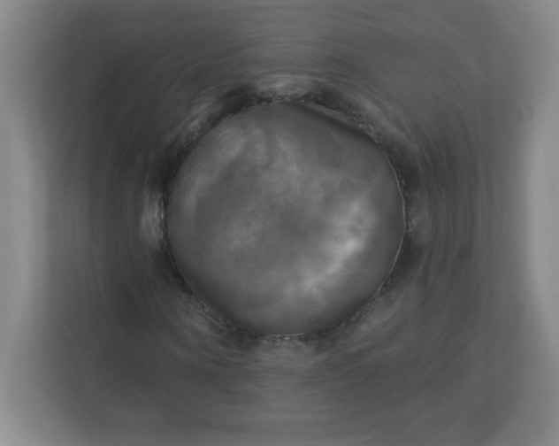 X0000113300866200909281102