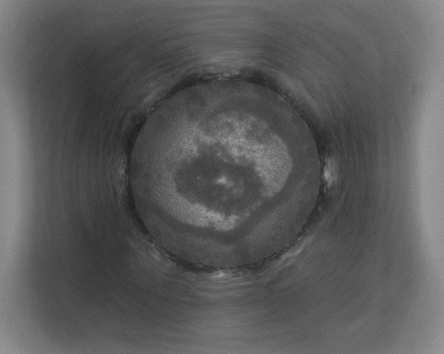 X0000113300867200909281102