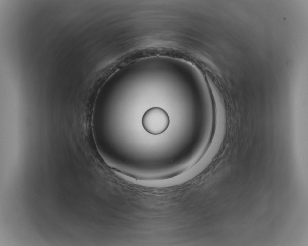 X0000113300869200909281102