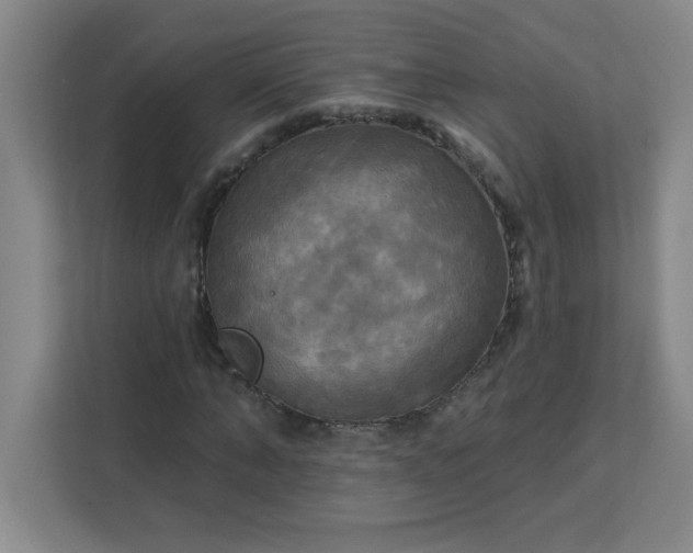 X0000113300870200909281102