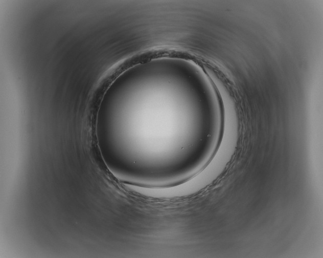 X0000113300872200909281102