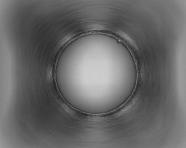 X0000113300873200909281102