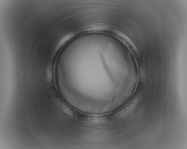 X0000113300874200909281102