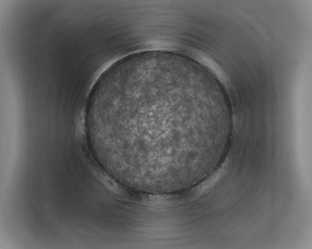 X0000113300875200909281102