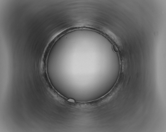 X0000113300876200909281102