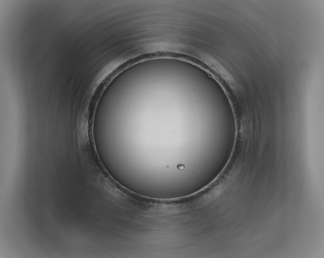 X0000113300877200909281102