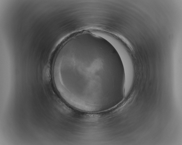 X0000113300878200909281102