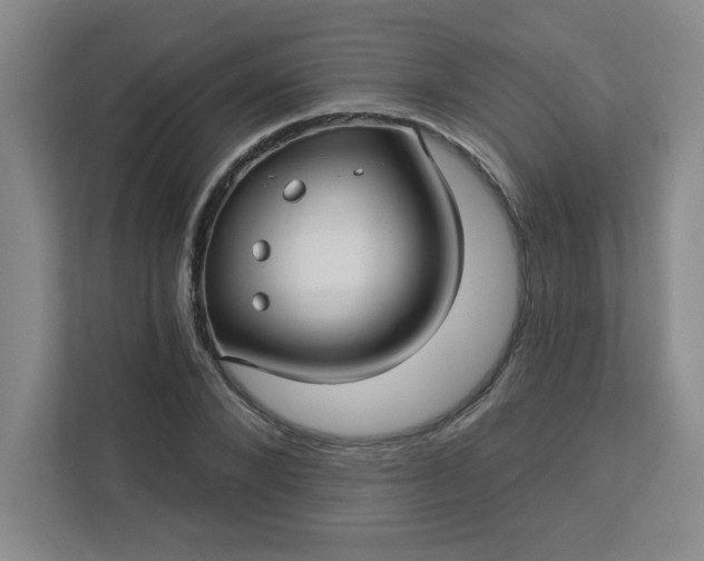 X0000113300880200909281102