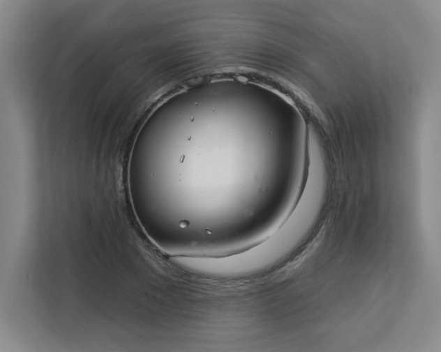 X0000113300881200909281102