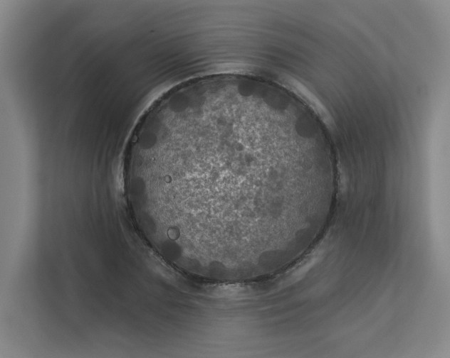 X0000113300883200909281102