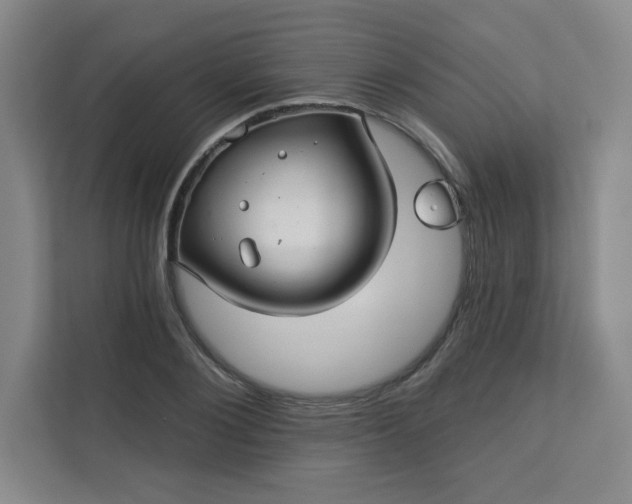 X0000113300884200909281102