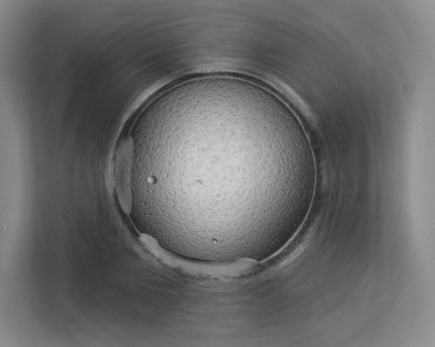 X0000113300885200909281102