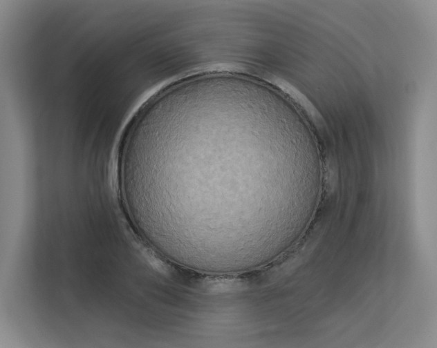 X0000113300886200909281102