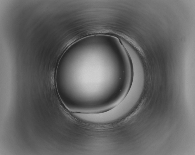 X0000113300889200909281102